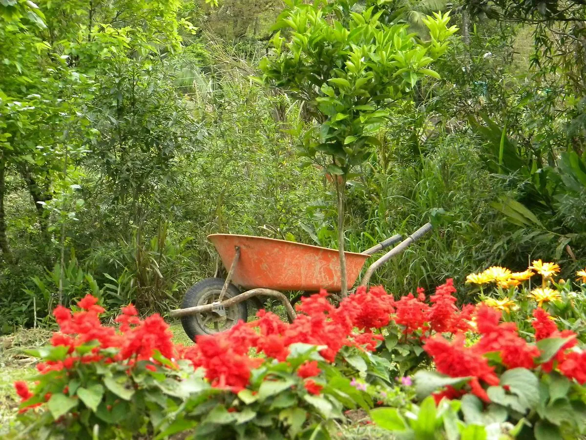 Pousada Signora Del Lago Sao Joao  Inn