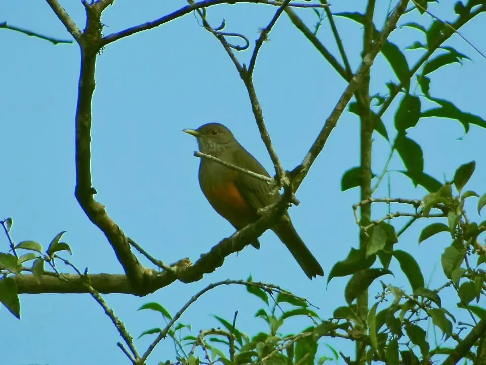 Inn Pousada Signora Del Lago Sao Joao